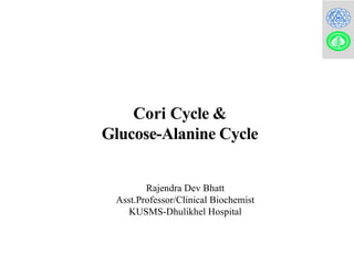 Comprehensive Overview of Cori Cycle and Glucose-Alanine Cycle in ...