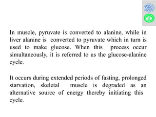 Comprehensive Overview of Cori Cycle and Glucose-Alanine Cycle in ...