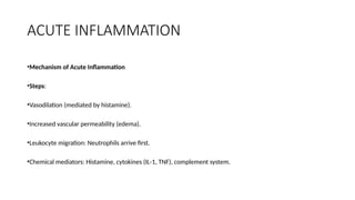 Comprehensive Overview of Acute, Chronic, and Granulomatous ...