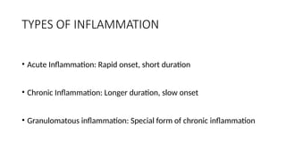 Comprehensive Overview of Acute, Chronic, and Granulomatous ...