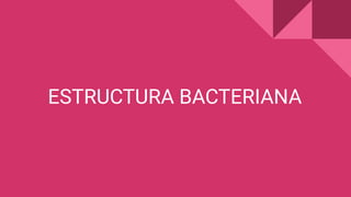 Morfología y Estructura Bacteriana: Formas, Tamaños y Componentes ...