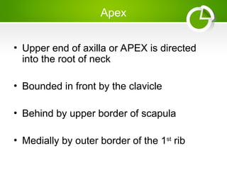 Comprehensive Anatomy and Applied Clinical Insights of the Axilla | PPT