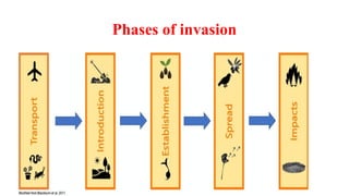 Understanding Biological Invasion: Causes, Species, and Ecosystem ...