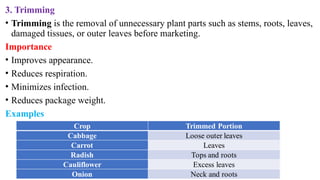 3. Trimming
• Trimming is the removal of unnecessary plant parts such as stems, roots, leaves,
damaged tissues, or outer leaves before marketing.
Importance
• Improves appearance.
• Reduces respiration.
• Minimizes infection.
• Reduces package weight.
Examples
 