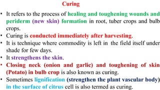 Curing
• It refers to the process of healing and toughening wounds and
periderm (new skin) formation in root, tuber crops and bulb
crops.
• Curing is conducted immediately after harvesting.
• It is technique where commodity is left in the field itself under
shade for few days.
• It strengthens the skin.
• Closing neck (onion and garlic) and toughening of skin
(Potato) in bulb crop is also known as curing.
• Sometimes lignification (strengthen the plant vascular body)
in the surface of citrus cell is also termed as curing.
 