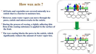  All fruits and vegetables are covered naturally in a
cuticle that is a barrier to moisture loss.
 However, some water vapors can move through the
pores, cuticle and micro-cracks in the cuticle.
 During the process of waxing, a tightly adhering thin
firm of the coating substance is applied to the surface of
the fruit.
 The wax coating blocks the pores in the cuticle, which
significantly reduces the amount of water vapor loss.
How wax acts ?
 