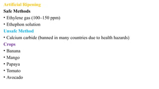 Artificial Ripening
Safe Methods
• Ethylene gas (100–150 ppm)
• Ethephon solution
Unsafe Method
• Calcium carbide (banned in many countries due to health hazards)
Crops
• Banana
• Mango
• Papaya
• Tomato
• Avocado
 