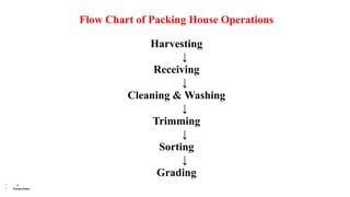 Flow Chart of Packing House Operations
Harvesting
↓
Receiving
↓
Cleaning & Washing
↓
Trimming
↓
Sorting
↓
Grading
• ↓
• Transportation
 
