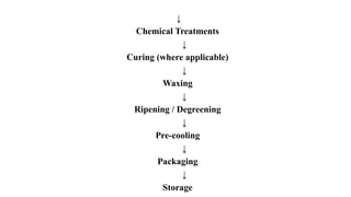 ↓
Chemical Treatments
↓
Curing (where applicable)
↓
Waxing
↓
Ripening / Degreening
↓
Pre-cooling
↓
Packaging
↓
Storage
 