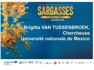 Brigitta VAN TUSSENBROEK,
Chercheuse
Université nationale de Mexico
 