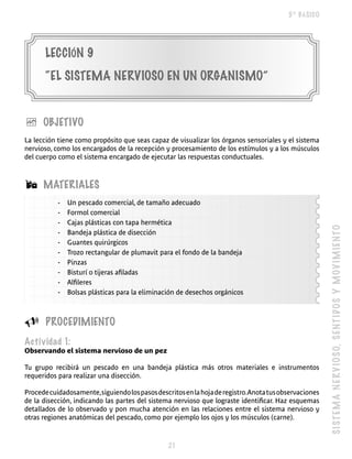 5º BÁSICO




       LECCIóN 9
       “EL SISTEMA NERVIOSO EN UN ORGANISMO”


è     OBJETIVO
La lección tiene como propósito que seas capaz de visualizar los órganos sensoriales y el sistema
nervioso, como los encargados de la recepción y procesamiento de los estímulos y a los músculos
del cuerpo como el sistema encargado de ejecutar las respuestas conductuales.



Á     MATERIALES
           -   Un pescado comercial, de tamaño adecuado
           -   Formol comercial
           -   Cajas plásticas con tapa hermética




                                                                                                        SI S T E M A N E R V IO SO, S E NT I DO S Y M O V I M I E N T O
           -   Bandeja plástica de disección
           -   Guantes quirúrgicos
           -   Trozo rectangular de plumavit para el fondo de la bandeja
           -   Pinzas
           -   Bisturí o tijeras afiladas
           -   Alfileres
           -   Bolsas plásticas para la eliminación de desechos orgánicos



U      PROCEDIMIENTO
Actividad 1:
Observando el sistema nervioso de un pez

Tu grupo recibirá un pescado en una bandeja plástica más otros materiales e instrumentos
requeridos para realizar una disección.

Procede cuidadosamente, siguiendo los pasos descritos en la hoja de registro. Anota tus observaciones
de la disección, indicando las partes del sistema nervioso que lograste identificar. Haz esquemas
detallados de lo observado y pon mucha atención en las relaciones entre el sistema nervioso y
otras regiones anatómicas del pescado, como por ejemplo los ojos y los músculos (carne).



                                                 
 
