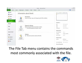 The File Tab menu contains the commands
most commonly associated with the file.
 