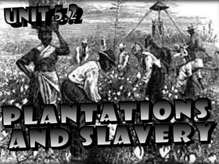 UNIT 5.2 PLANTATIONS AND SLAVERY 