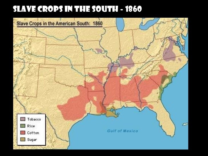 Southern Plantations & Slavery