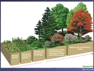 Annual
weeds
Mature oak and hickory
forestYoung pine forest
with developing
understory of oak
and hickory trees
Time
Shrubs and
small pine
seedlingsPerennial
weeds and
grasses
Stepped Art
Fig. 5-11, p. 90
 