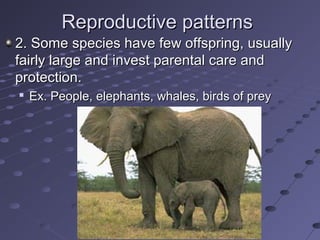 Reproductive patternsReproductive patterns
2. Some species have few offspring, usually2. Some species have few offspring, usually
fairly large and invest parental care andfairly large and invest parental care and
protection.protection.

Ex. People, elephants, whales, birds of preyEx. People, elephants, whales, birds of prey
 
