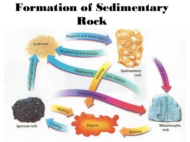 Sedimentary Rock Forming Process