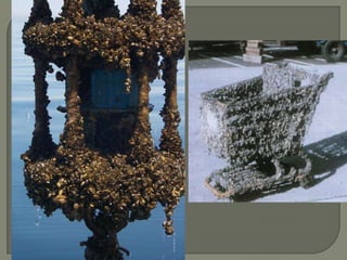 It’s too small by today’s standards and many parts are too shallow.  Only 10% of oceangoing vessels can navigate the entire route.