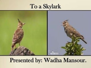 To a Skylark




Presented by: Wadha Mansour.
 
