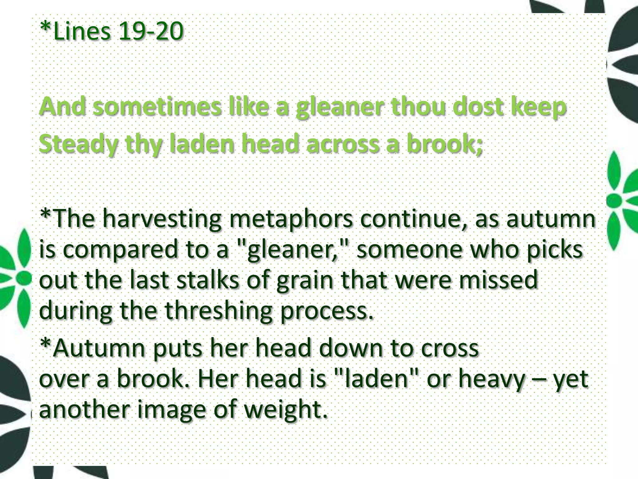 *Lines 19-20

And sometimes like a gleaner thou dost keep
Steady thy laden head across a brook;

*The harvesting metaphors continue, as autumn
is compared to a "gleaner," someone who picks
out the last stalks of grain that were missed
during the threshing process.
*Autumn puts her head down to cross
over a brook. Her head is "laden" or heavy – yet
another image of weight.
 