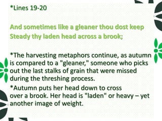 *Lines 19-20

And sometimes like a gleaner thou dost keep
Steady thy laden head across a brook;

*The harvesting metaphors continue, as autumn
is compared to a "gleaner," someone who picks
out the last stalks of grain that were missed
during the threshing process.
*Autumn puts her head down to cross
over a brook. Her head is "laden" or heavy – yet
another image of weight.
 