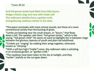 *Lines 30-33

And full-grown lambs loud bleat from hilly bourn;
Hedge-crickets sing; and now with treble soft
The redbreast whistles from a garden-croft,
And gathering swallows twitter in the skies.

*The poem concludes with more animal sounds, but those of a more
conventional variety than the buzzing of gnats.
*Lambs are bleating near the small stream, or "bourn," that flows
down a hill. The speaker calls them "full-grown lambs," which is like
saying, "full-grown child“. He seems to want to highlight the in-between stage
between the glorious ripeness of youth and plain old adulthood.
*Crickets are "singing" by rubbing their wings together, otherwise
known as "chirping."
*With a soft but high ("treble") voice, the redbreast robin is whistling
in an enclosed garden, or "garden-croft."
*The swallows have been taken to the sky at twilight, and they
"twitter" joyfully as the sun goes down.
 