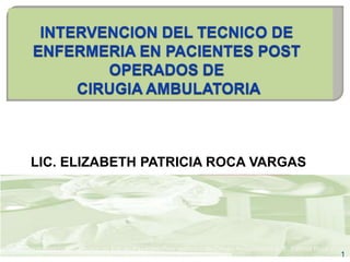 LIC. ELIZABETH PATRICIA ROCA VARGAS




Intervención del Técnico de Enf. en Pacientes Post operados de Cirugía Ambulatoria-Lic. E. Patricia Roca V.
                                                                                                              1
 