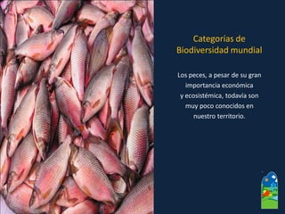 Los peces, a pesar de su gran 
importancia económica 
y ecosistémica, todavía son 
muy poco conocidos en 
nuestro territorio. 
Categorías de 
Biodiversidad mundial  