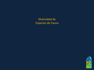 Diversidad de 
Especies de Fauna  