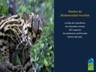 La lista de mamíferos 
de Colombia incluye 
367 especies 
de existencia confirmada 
dentro del país. 
Niveles de 
Biodiversidad mundial  