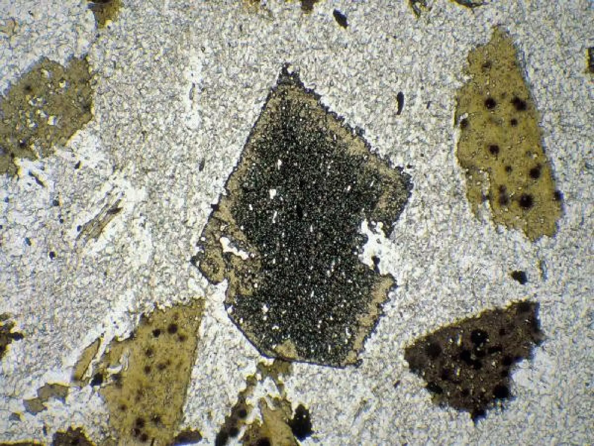 5.4 metamorphic rock