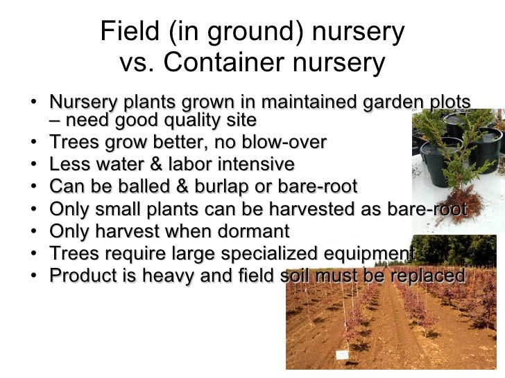 Producing nursery crops