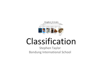 5 5classification-