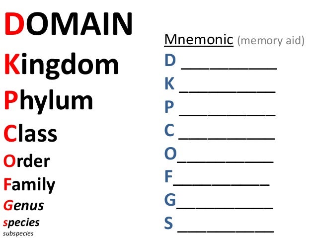 classification ib biology kingdoms and domains chart