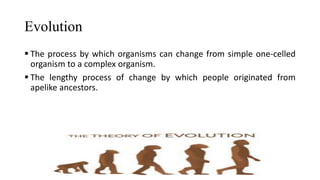 The origin of man and civilization