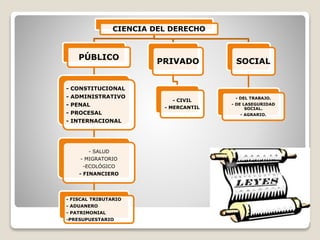 CIENCIA DEL DERECHO
PÚBLICO
- CONSTITUCIONAL
- ADMINISTRATIVO
- PENAL
- PROCESAL
- INTERNACIONAL
- SALUD
- MIGRATORIO
-ECOLÓGICO
- FINANCIERO
- FISCAL TRIBUTARIO
- ADUANERO
- PATRIMONIAL
-PRESUPUESTARIO
PRIVADO
- CIVIL
- MERCANTIL
SOCIAL
- DEL TRABAJO.
- DE LASEGURIDAD
SOCIAL.
- AGRARIO.
 