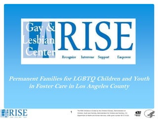 Permanent Families for LGBTQ Children and Youth
      in Foster Care in Los Angeles County


                        The RISE Initiative is funded by the Children’s Bureau, Administration on
                    1   Children, Youth and Families, Administration for Children and Families, U.S.
                        Department of Health and Human Services, under grant number 90-CT-0154.
 