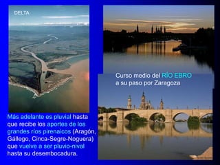 DELTA

Curso medio del RÍO EBRO
a su paso por Zaragoza

Más adelante es pluvial hasta
que recibe los aportes de los
grandes ríos pirenaicos (Aragón,
Gállego, Cinca-Segre-Noguera)
que vuelve a ser pluvio-nival
hasta su desembocadura.

 