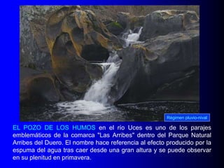 Régimen pluvio-nival

EL POZO DE LOS HUMOS en el río Uces es uno de los parajes
emblemáticos de la comarca "Las Arribes" dentro del Parque Natural
Arribes del Duero. El nombre hace referencia al efecto producido por la
espuma del agua tras caer desde una gran altura y se puede observar
en su plenitud en primavera.

 