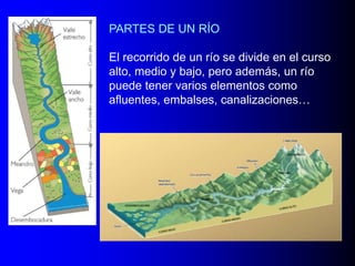 PARTES DE UN RÍO
El recorrido de un río se divide en el curso
alto, medio y bajo, pero además, un río
puede tener varios elementos como
afluentes, embalses, canalizaciones…

 