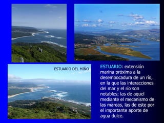 ESTUARIO DEL MIÑO

ESTUARIO: extensión
marina próxima a la
desembocadura de un río,
en la que las interacciones
del mar y el río son
notables; las de aquel
mediante el mecanismo de
las mareas, las de este por
el importante aporte de
agua dulce.

 