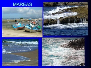 MAREAS

 
