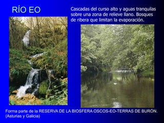 RÍO EO

Cascadas del curso alto y aguas tranquilas
sobre una zona de relieve llano. Bosques
de ribera que limitan la evaporación.

Forma parte de la RESERVA DE LA BIOSFERA OSCOS-EO-TERRAS DE BURÓN.
(Asturias y Galicia)

 