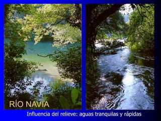 RÍO NAVIA
Influencia del relieve: aguas tranquilas y rápidas

 