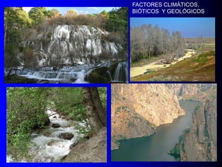 FACTORES CLIMÁTICOS,
BIÓTICOS Y GEOLÓGICOS

 