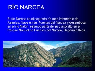 RÍO NARCEA
El río Narcea es el segundo río más importante de
Asturias. Nace en las Fuentes del Narcea y desemboca
en el río Nalón estando parte de su curso alto en el
Parque Natural de Fuentes del Narcea, Degaña e Ibias.

 