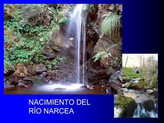 NACIMIENTO DEL
RÍO NARCEA

 
