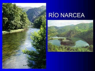 RÍO NARCEA

 