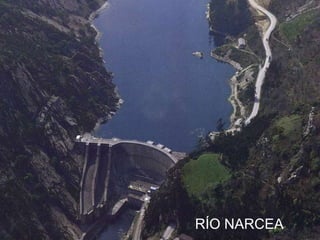 RÍO NARCEA

 