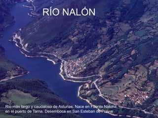 RÍO NALÓN

Río más largo y caudaloso de Asturias. Nace en Fuente Nalona,
en el puerto de Tarna. Desemboca en San Esteban de Pravia

 